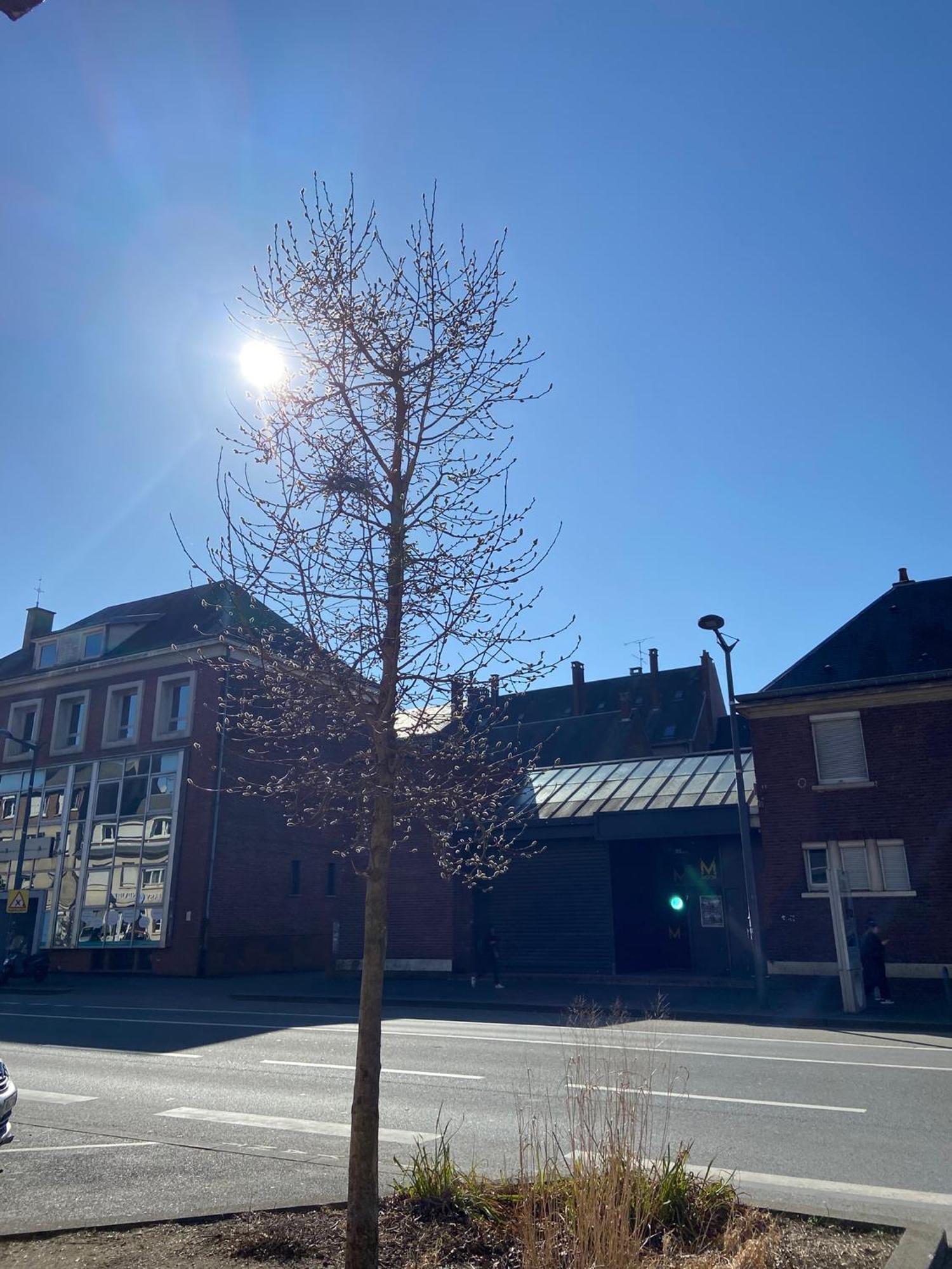 2 Chambres Hyper Centre Avec Place De Parking Et Wifi Amiens Dış mekan fotoğraf